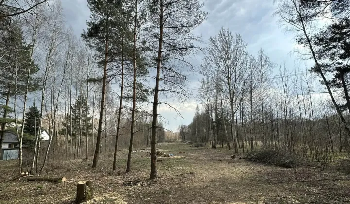 Działka rolno-budowlana Huta Dłutowska Kapkazy, ul. Kapkazy