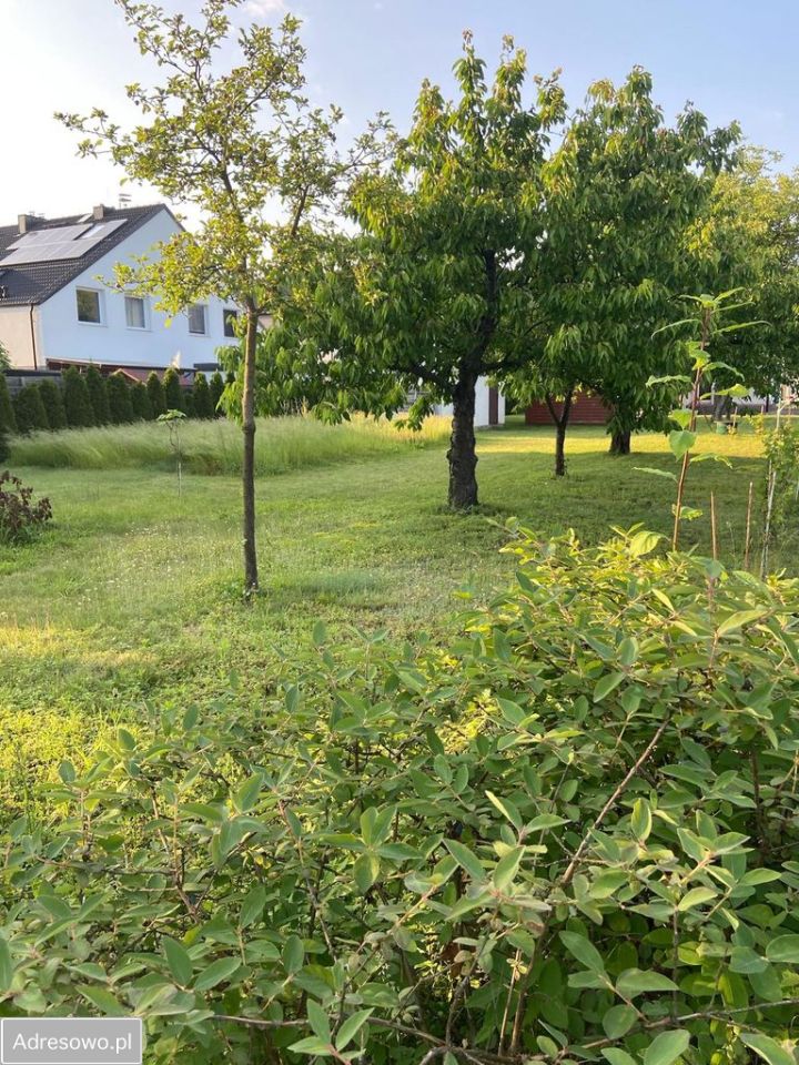 dom wolnostojący, 9 pokoi Kamieniec Wrocławski, ul. Szkolna. Zdjęcie 3