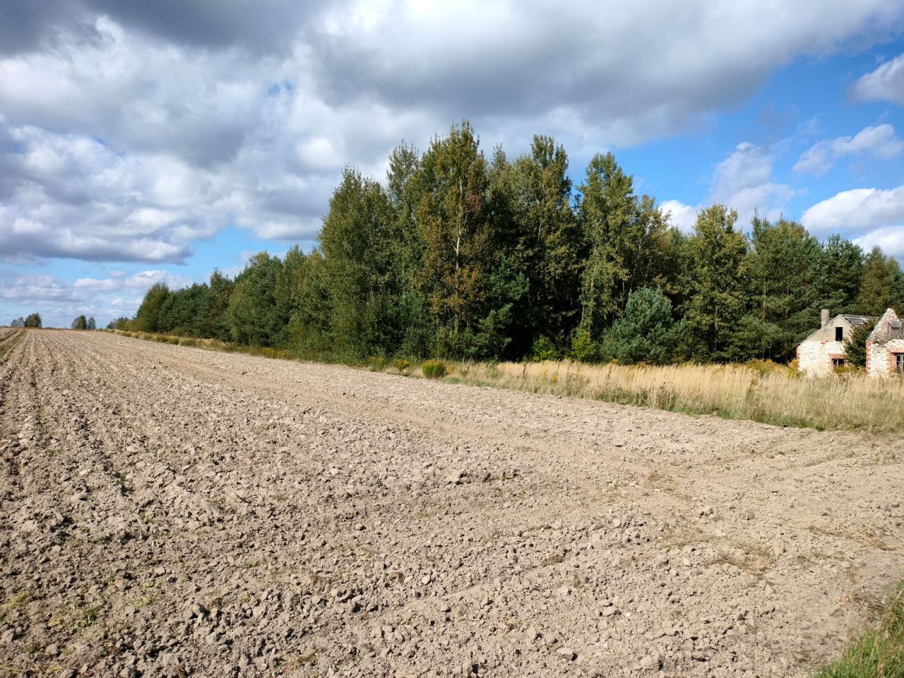 Działka budowlana Napoleon. Zdjęcie 7