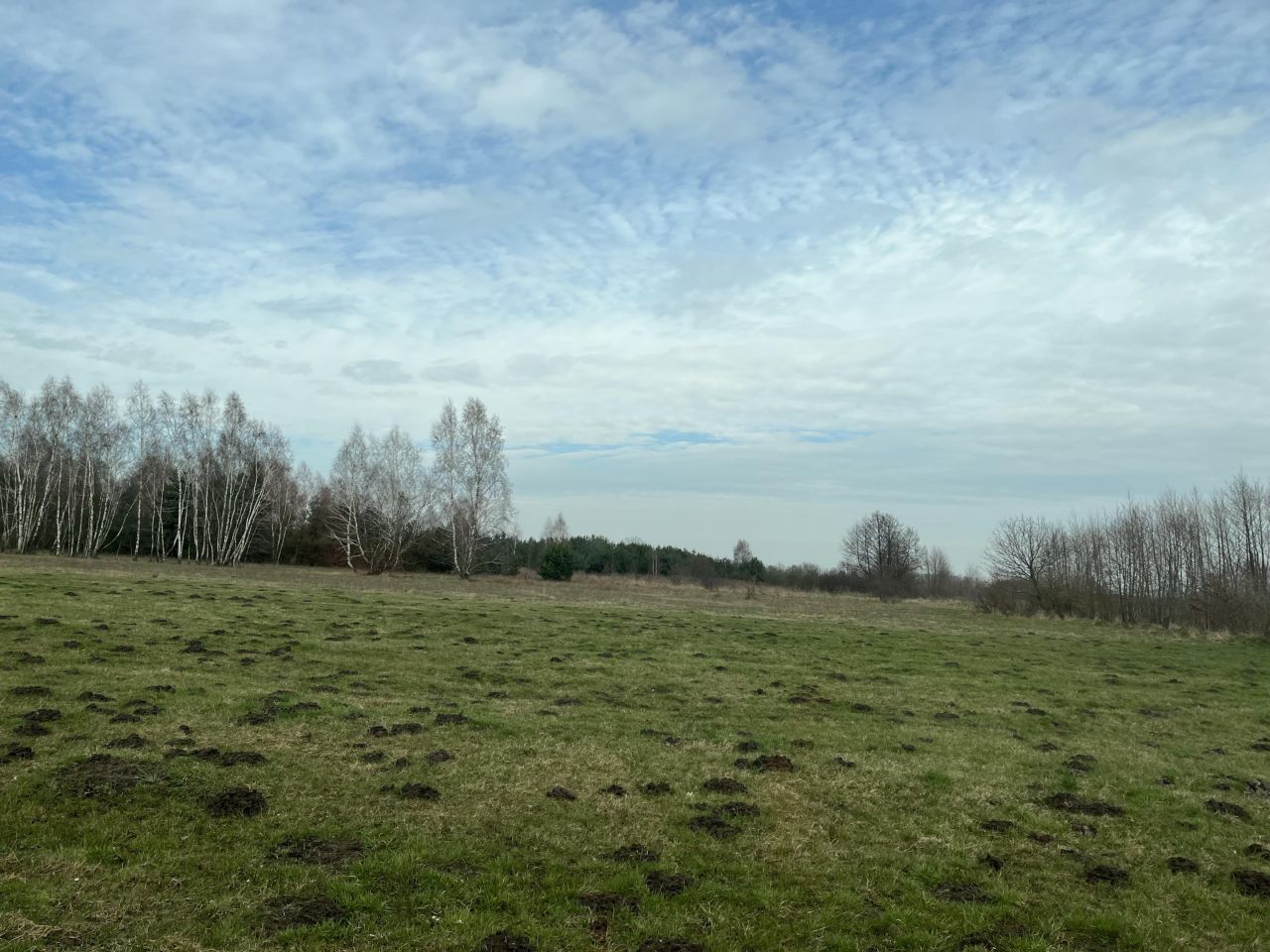 Działka rolno-budowlana Piaski