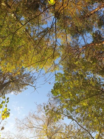 Działka budowlana Czarże. Zdjęcie 7