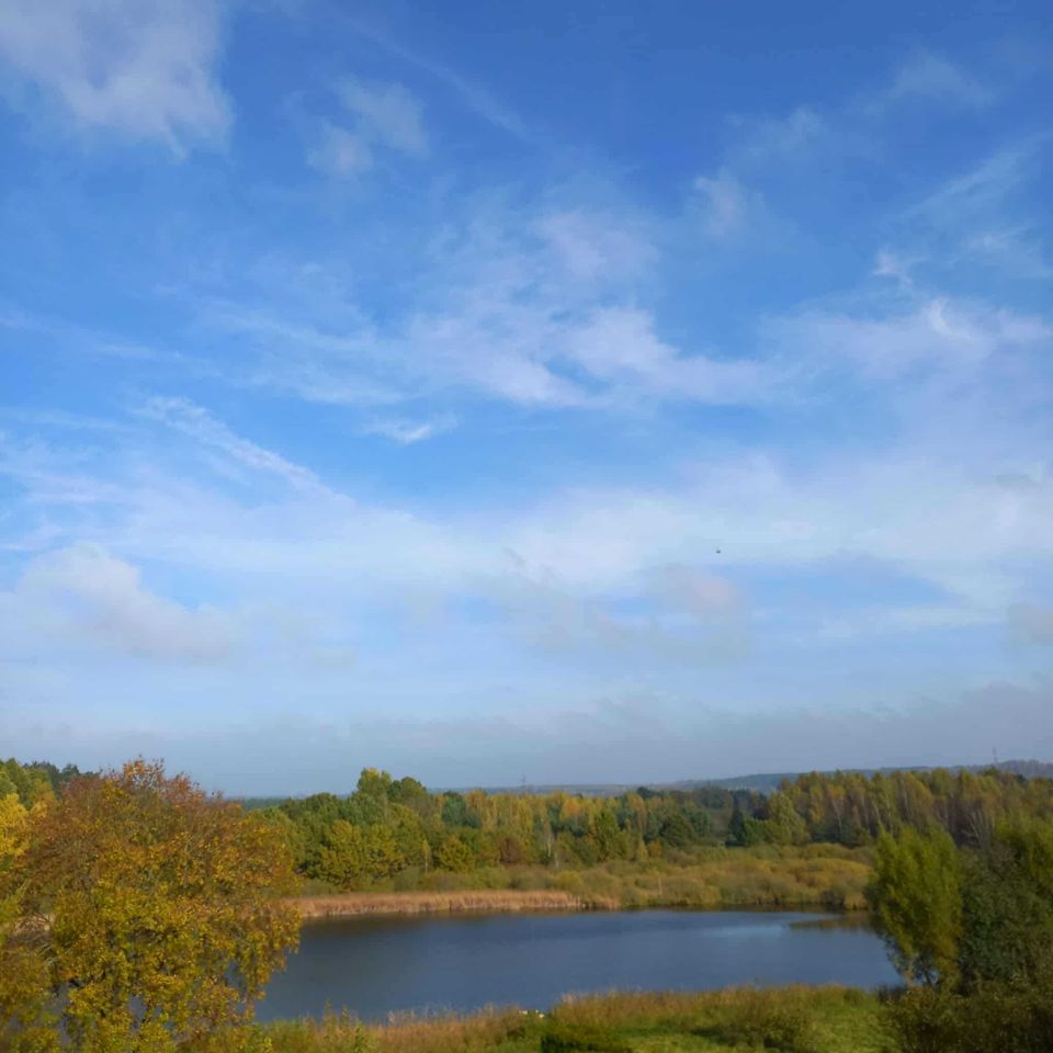 Działka budowlana Drzewiany. Zdjęcie 6