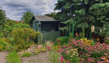 Działka rod Chełm, ul. Żabia