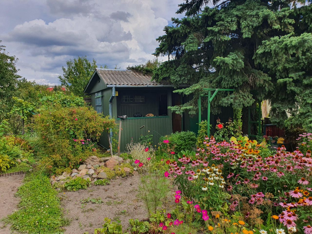 Działka rod Chełm, ul. Żabia. Zdjęcie 2