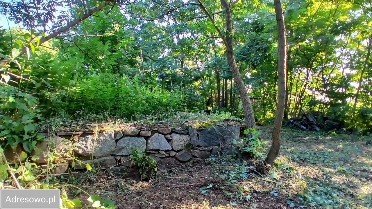 Działka rolno-budowlana Grodnia. Zdjęcie 9