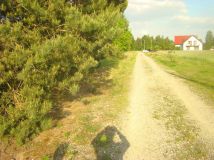 Działka budowlana Widzów. Zdjęcie 3