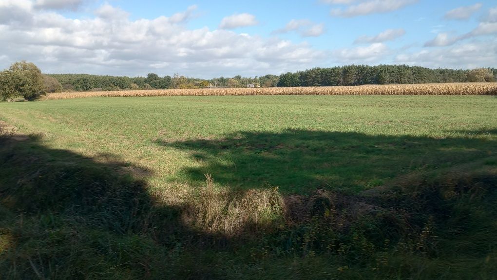 Działka budowlana Flantrowo. Zdjęcie 3