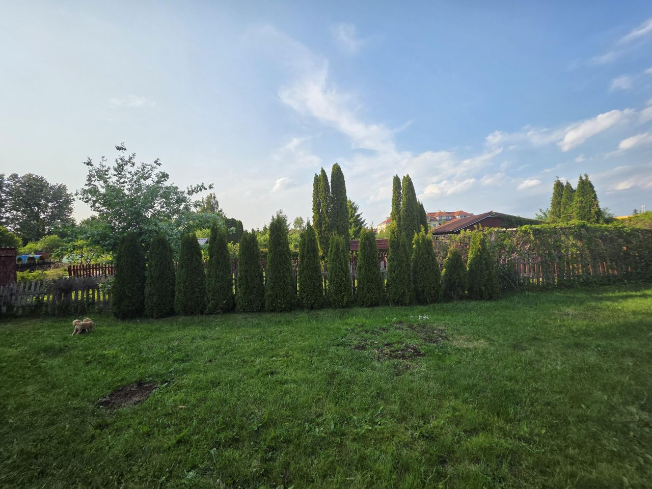 Działka rod Nidzica, ul. Józefa Ignacego Kraszewskiego. Zdjęcie 3