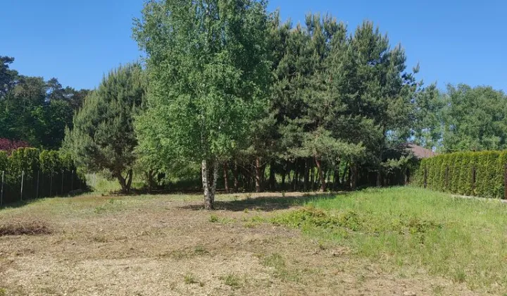 Działka budowlana Kłodawa, ul. Kasztanowa