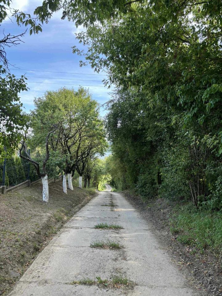 Działka budowlana Płock, ul. Sosnowa. Zdjęcie 7