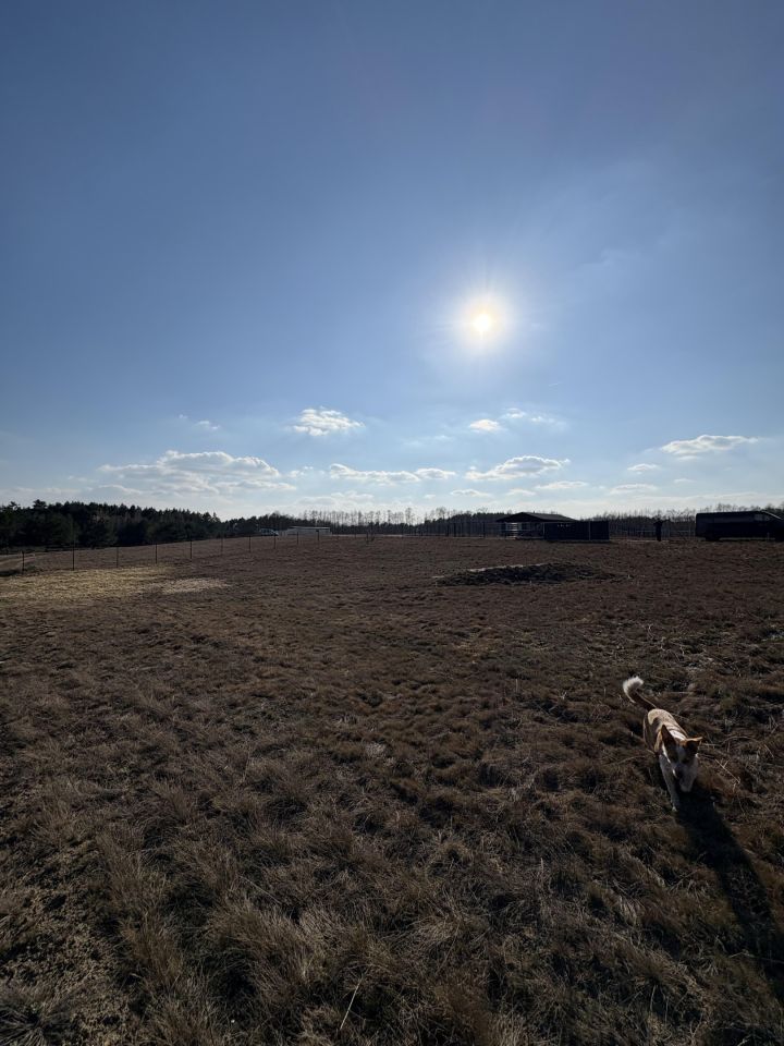 Działka rekreacyjna Stawiska Wymysłowo. Zdjęcie 7