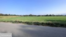Działka rolno-budowlana Dorohusk-Osada, ul. Wierzbowa. Zdjęcie 3