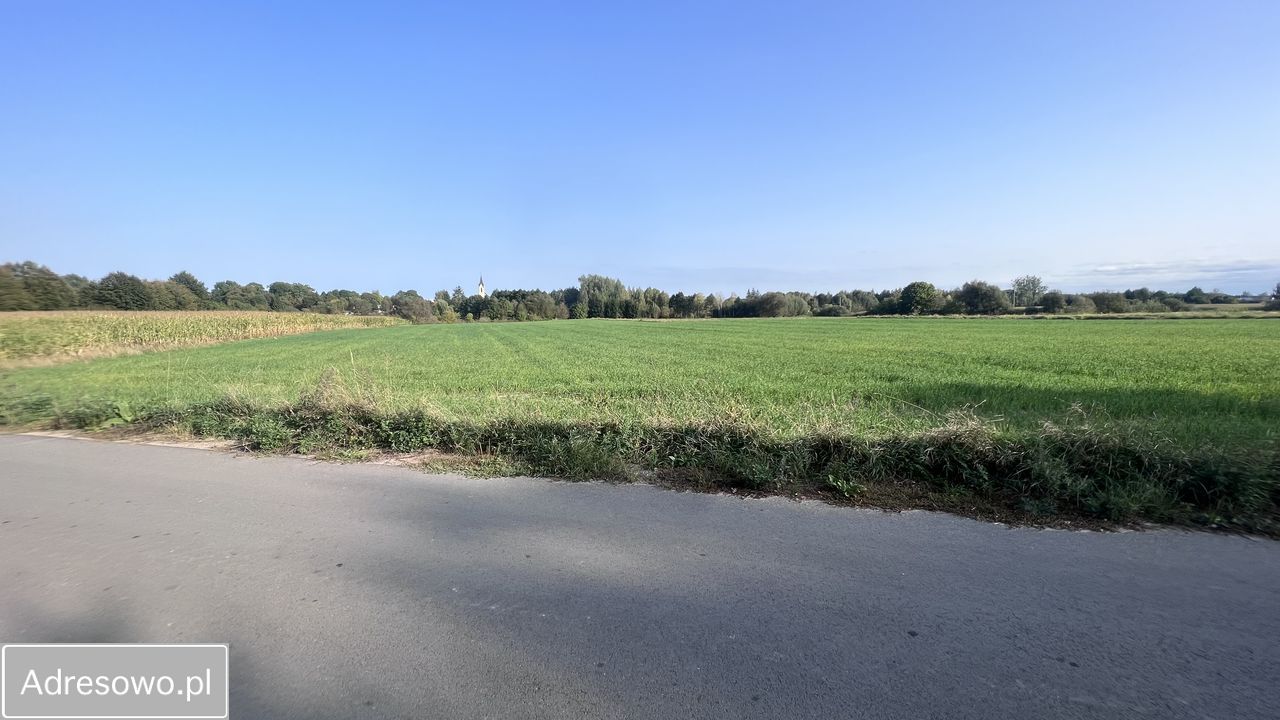 Działka rolno-budowlana Dorohusk-Osada, ul. Wierzbowa. Zdjęcie 4