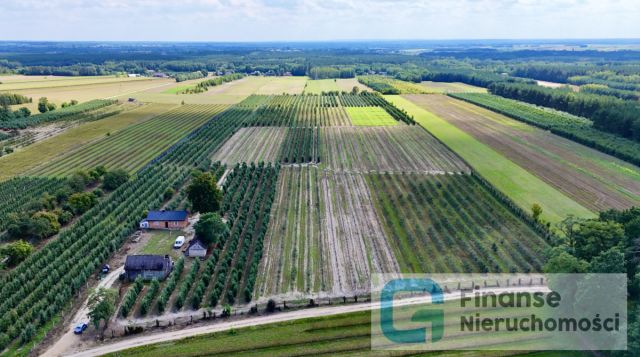 Działka siedliskowa Wierzchy. Zdjęcie 10