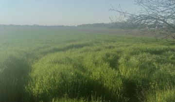 Działka budowlana Walerianowo, ul. Bukowa