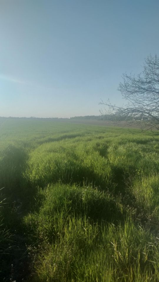 Działka budowlana Walerianowo, ul. Bukowa