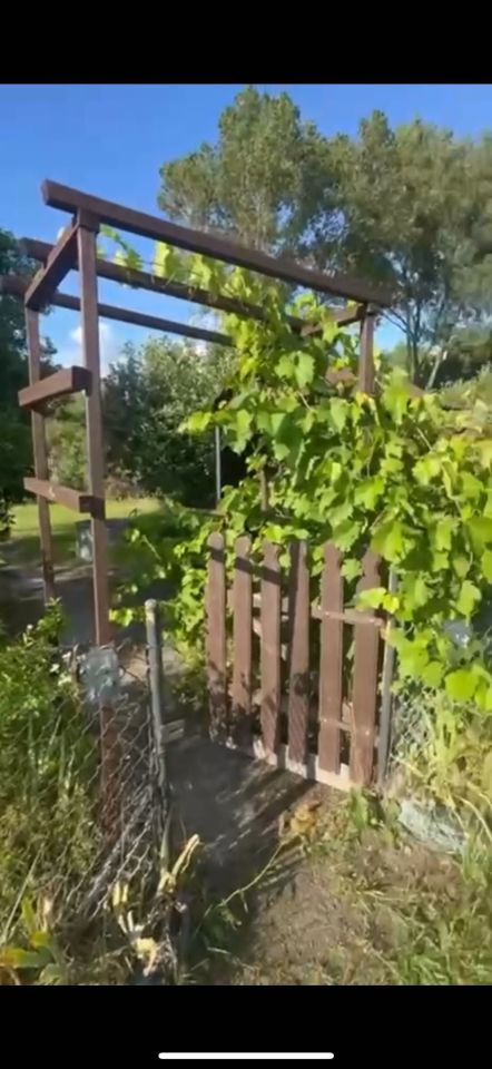 Działka rod Zielona Góra Przylep, ul. Przylep-Solidarności. Zdjęcie 8