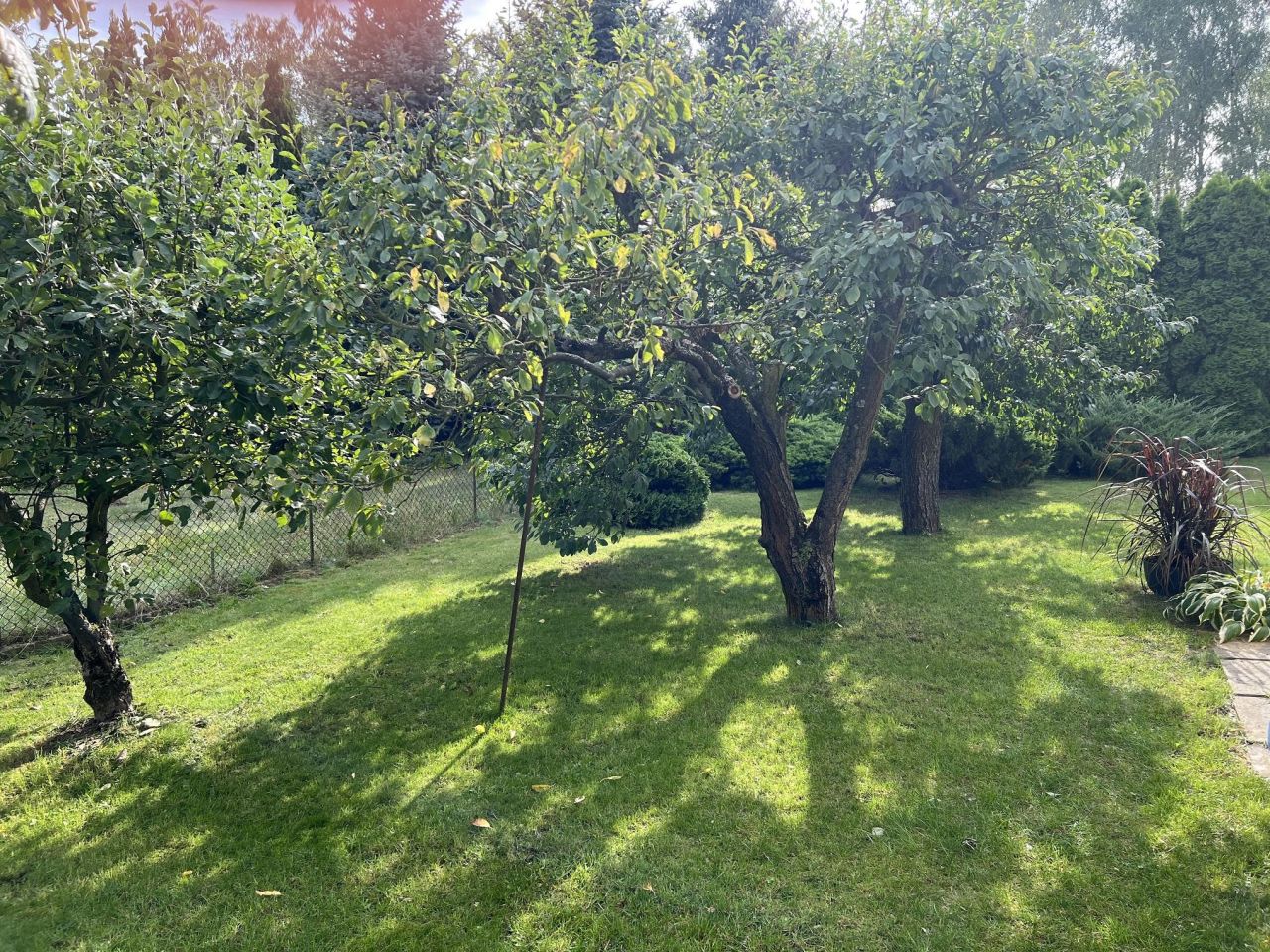 Działka rod Osse. Zdjęcie 9