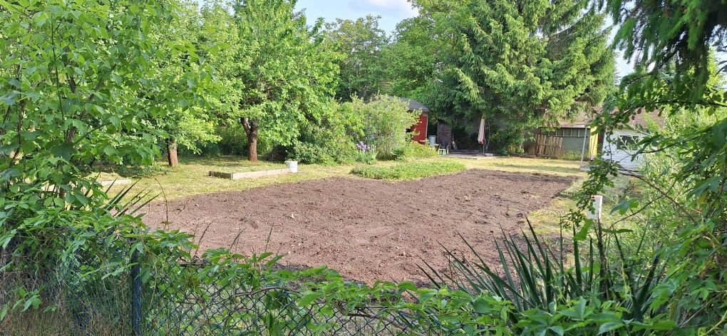 Działka rod Łęczyca. Zdjęcie 3