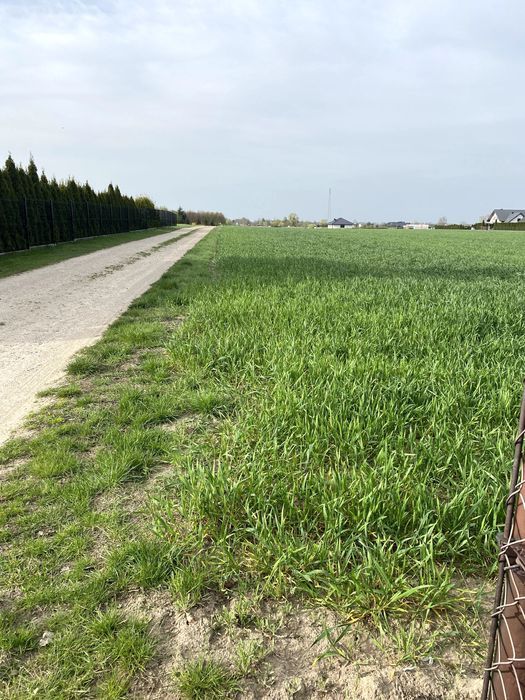 Działka budowlana Skarszewo. Zdjęcie 7