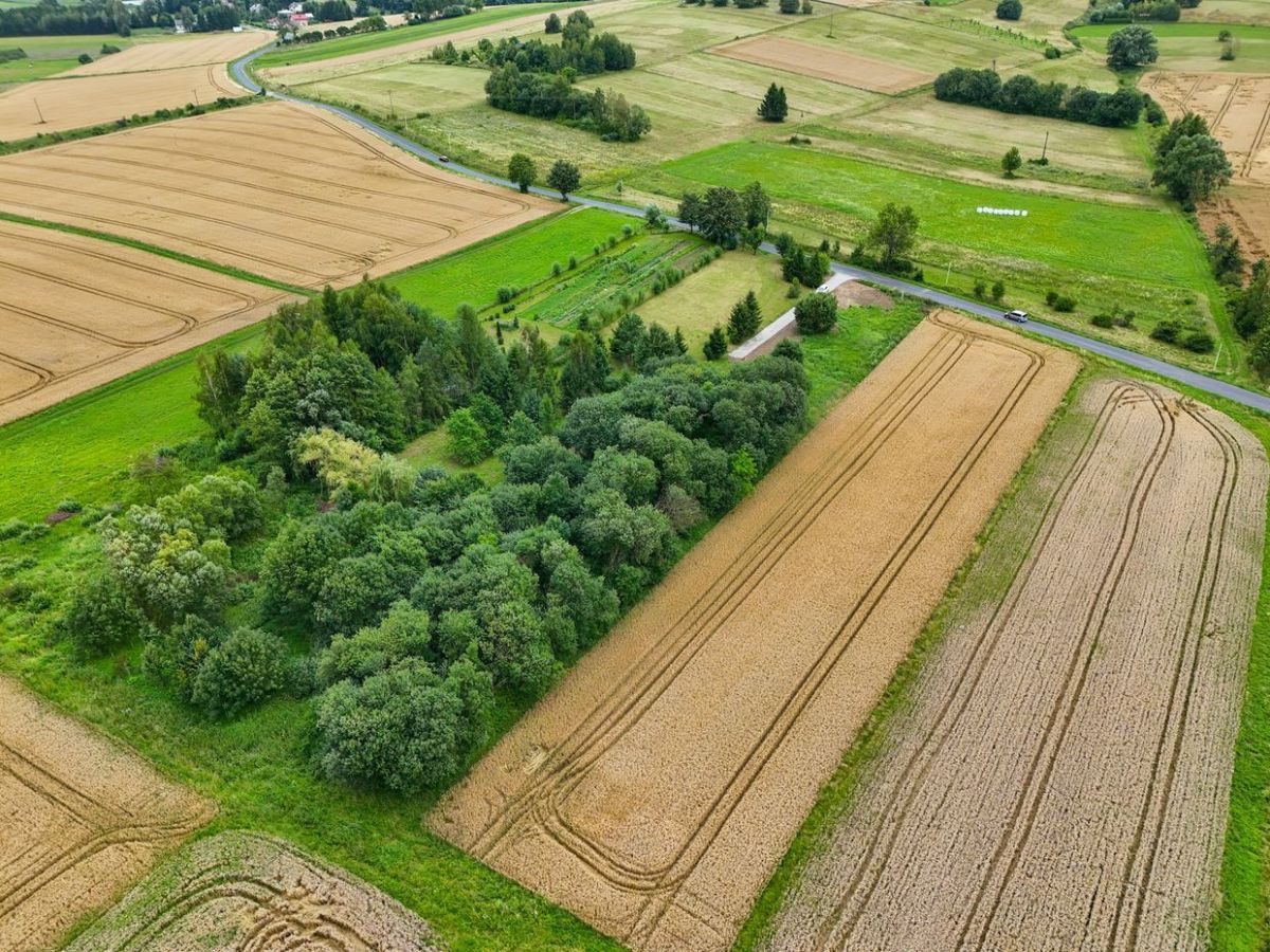 Działka budowlana Rymanów. Zdjęcie 10
