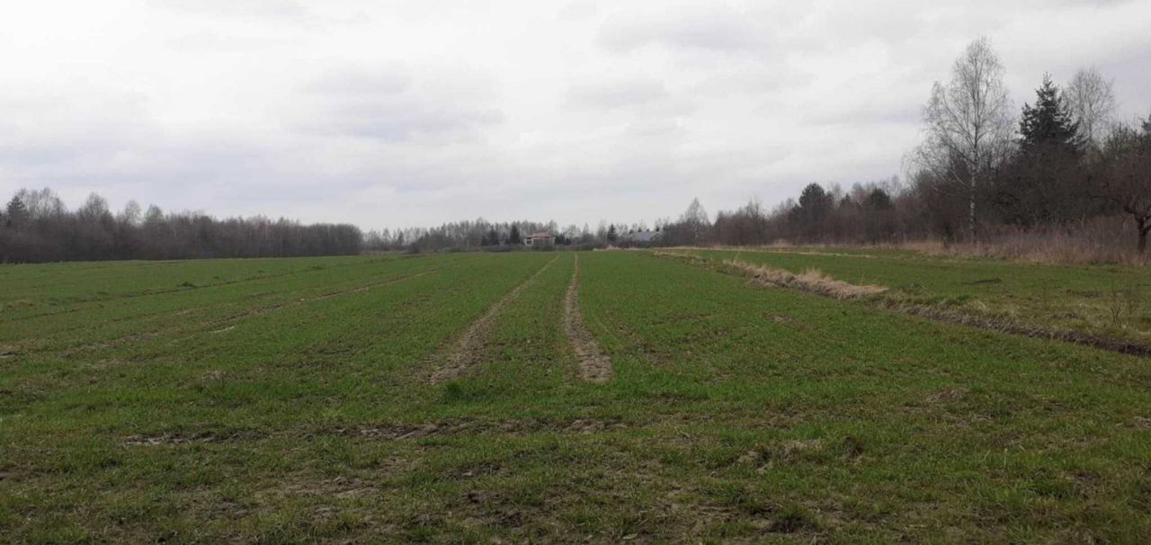 Działka rolno-budowlana Radomsko, ul. Spacerowa. Zdjęcie 4