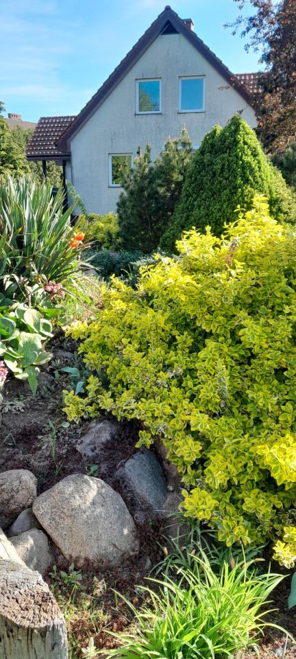 dom wolnostojący, 5 pokoi Piła Motylewo, ul. Sowia. Zdjęcie 24