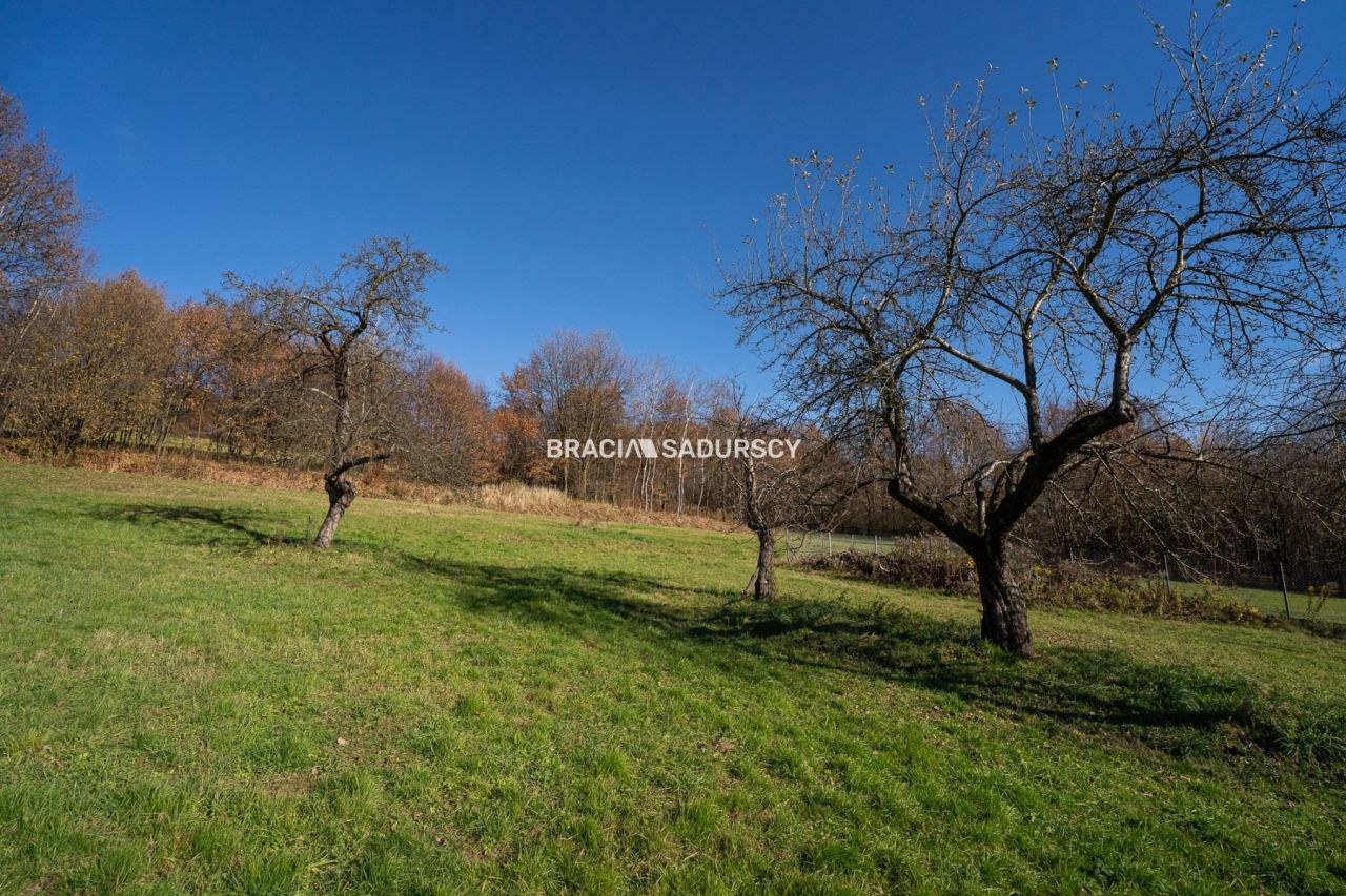 dom, 3 pokoje Leńcze. Zdjęcie 15