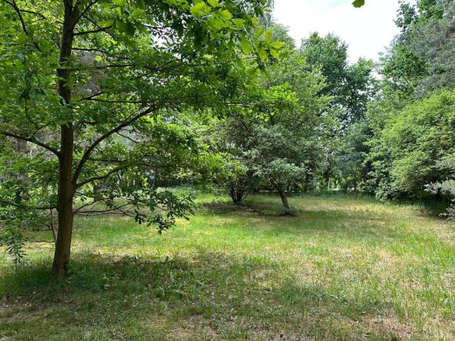 Działka inwestycyjna Złotokłos. Zdjęcie 2