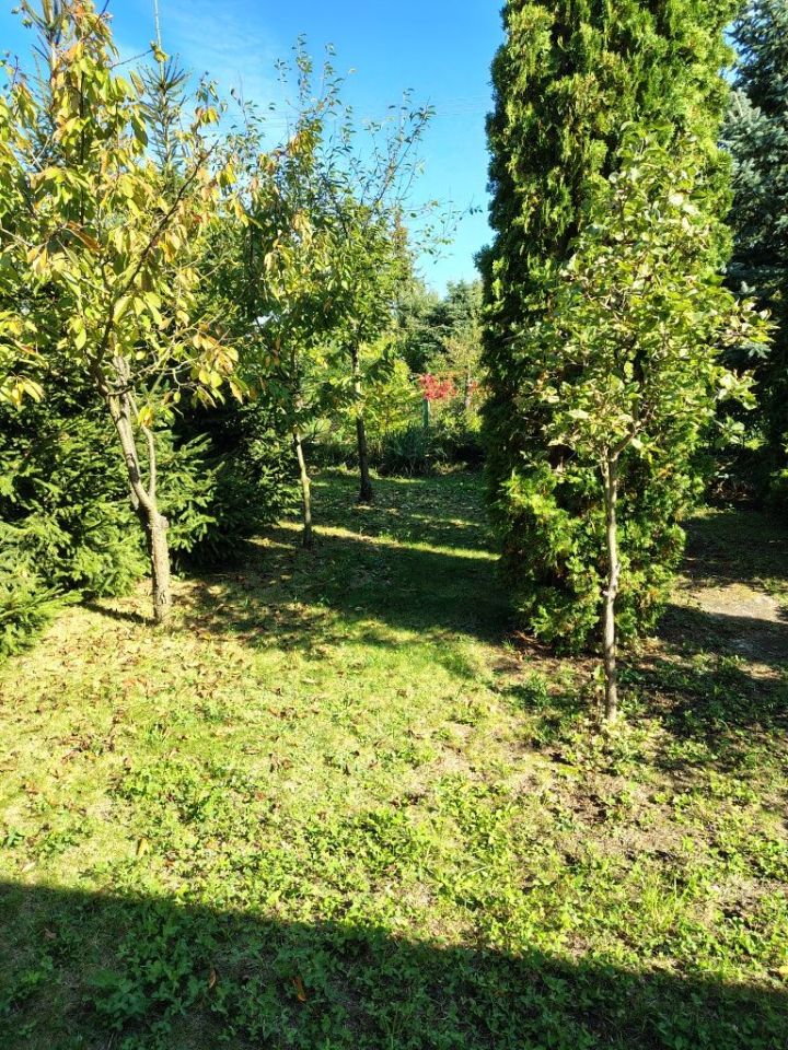Działka rod Siedlce, ul. Piaskowa. Zdjęcie 2