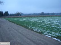 Działka rolno-budowlana Nowe Jastrzębsko. Zdjęcie 3