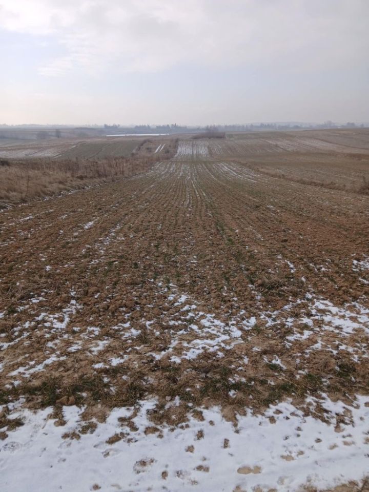 Działka rolna Staw Noakowski-Kolonia