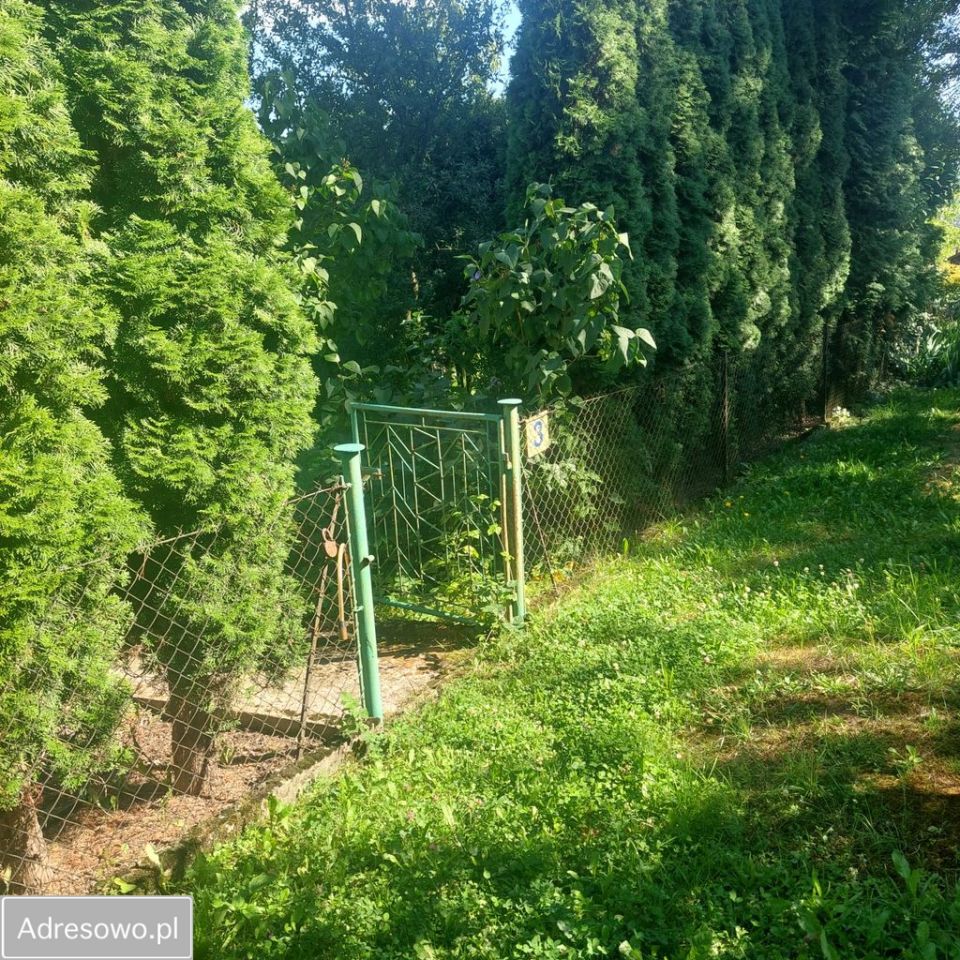 Działka rod Wiślica. Zdjęcie 6