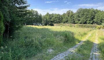 Działka rekreacyjna Winiec