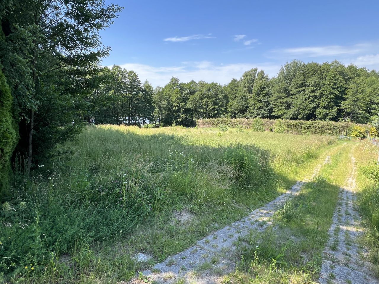 Działka rekreacyjna Winiec