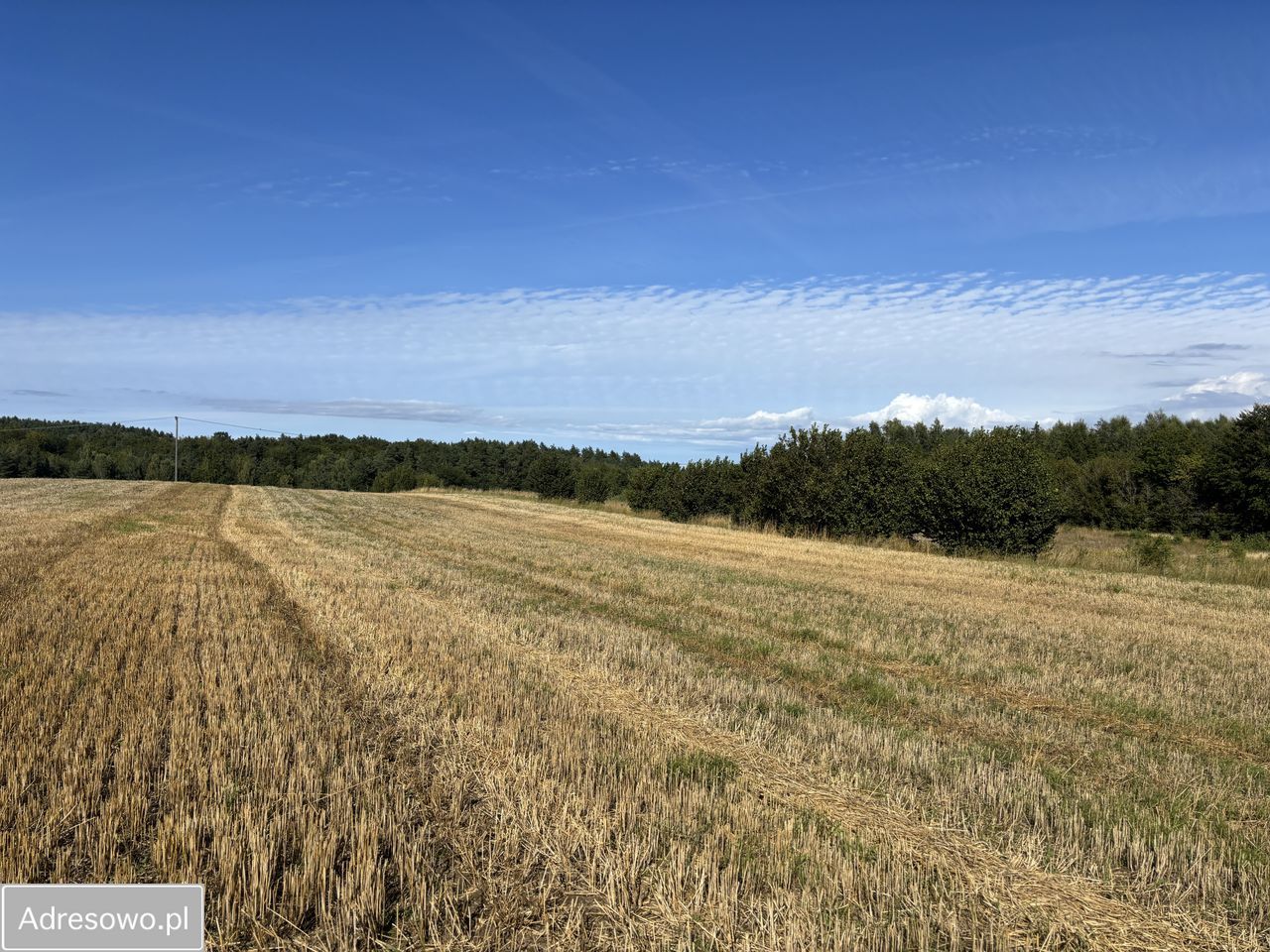 Działka budowlana Klonowo Dolne. Zdjęcie 6