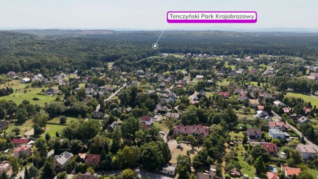 Lokal Tenczynek, ul. Henryka Sienkiewicza. Zdjęcie 10