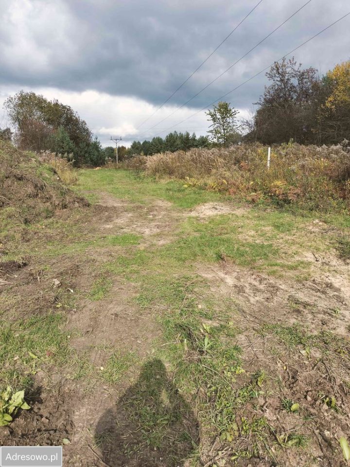 Działka budowlana Czyżówka, ul. Lipowa. Zdjęcie 4