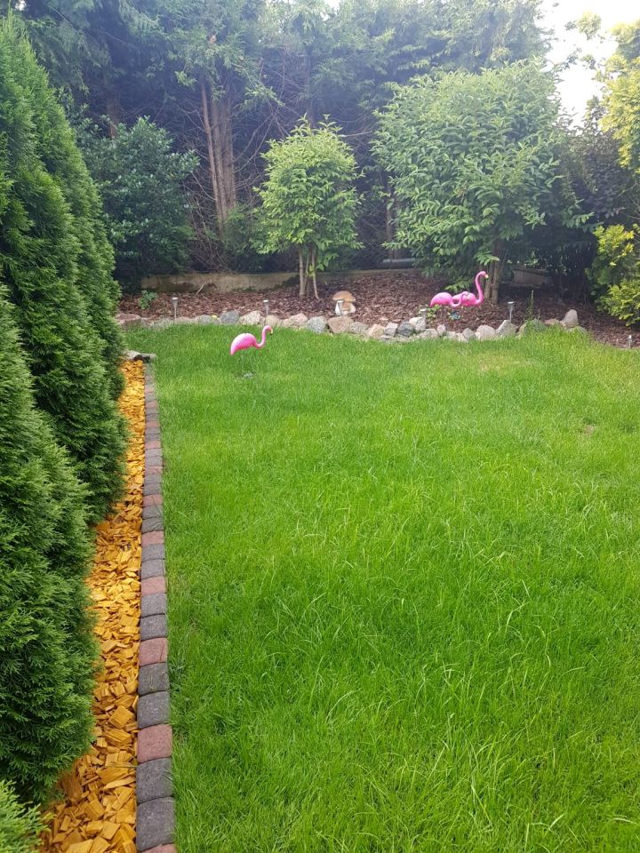 Działka rod Wierzchucinek. Zdjęcie 13