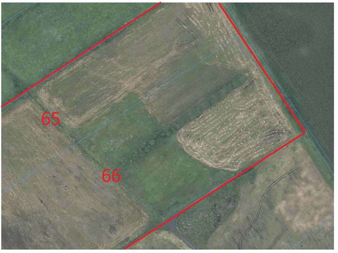 Działka rolna Niedanowo. Zdjęcie 4