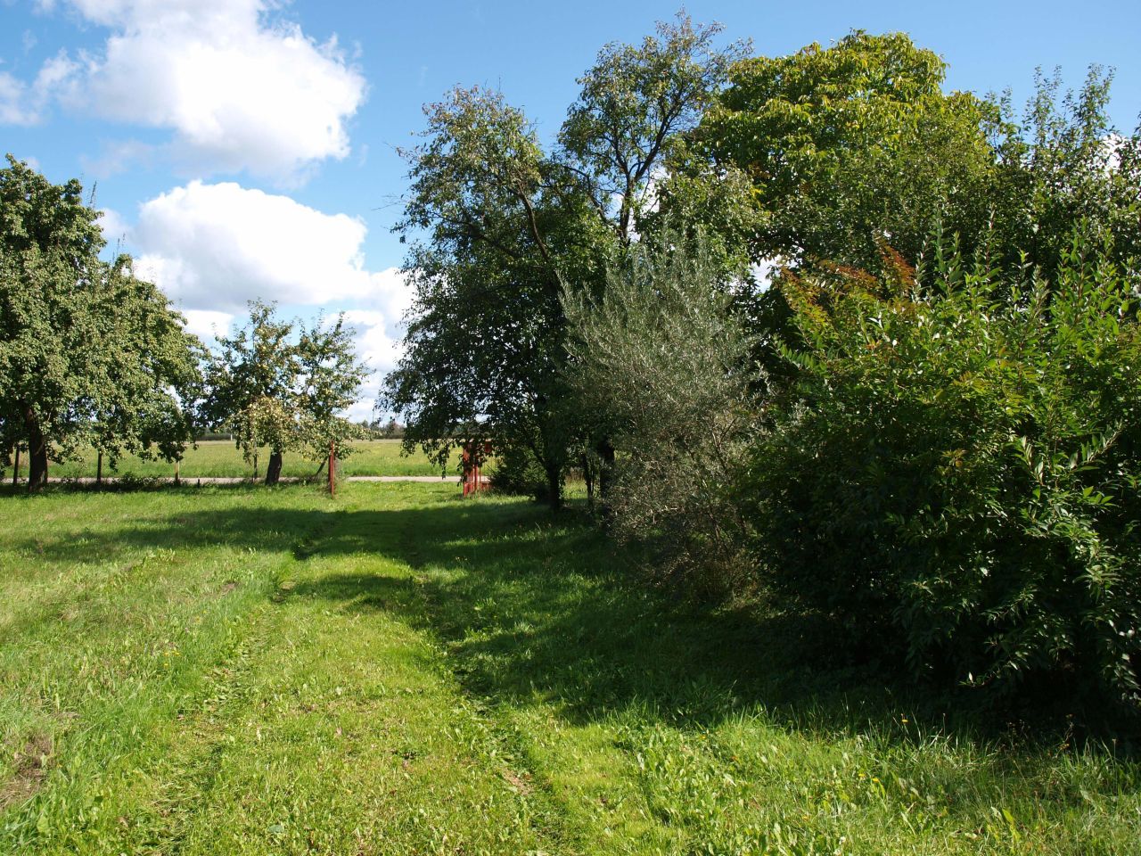 siedlisko, 3 pokoje Przegaliny Duże. Zdjęcie 20