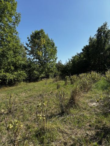 Działka budowlana Będkowice. Zdjęcie 1