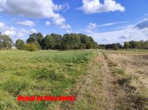 Działka rekreacyjna Czyżowice, ul. Nowa. Zdjęcie 3