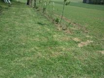 Działka budowlana Bogucin. Zdjęcie 4