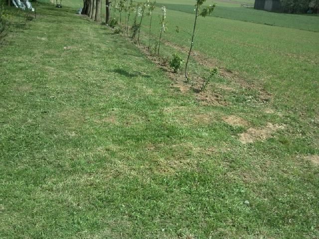 Działka budowlana Bogucin. Zdjęcie 5