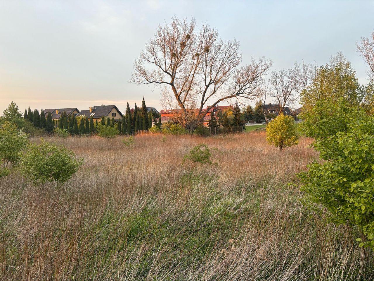 Działka budowlana Lisowice, ul. Różana. Zdjęcie 6