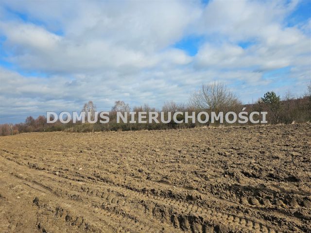 Działka budowlana Rozworzyn. Zdjęcie 5