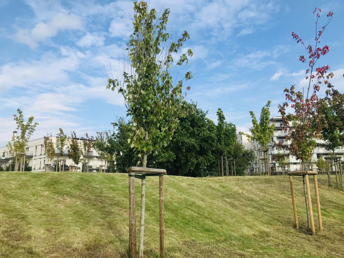 Mieszkanie 2-pokojowe Warszawa Mokotów, ul. Bergamotki. Zdjęcie 14