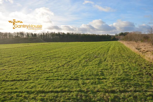 Działka inwestycyjna Dębogórze, ul. Chmielna. Zdjęcie 5