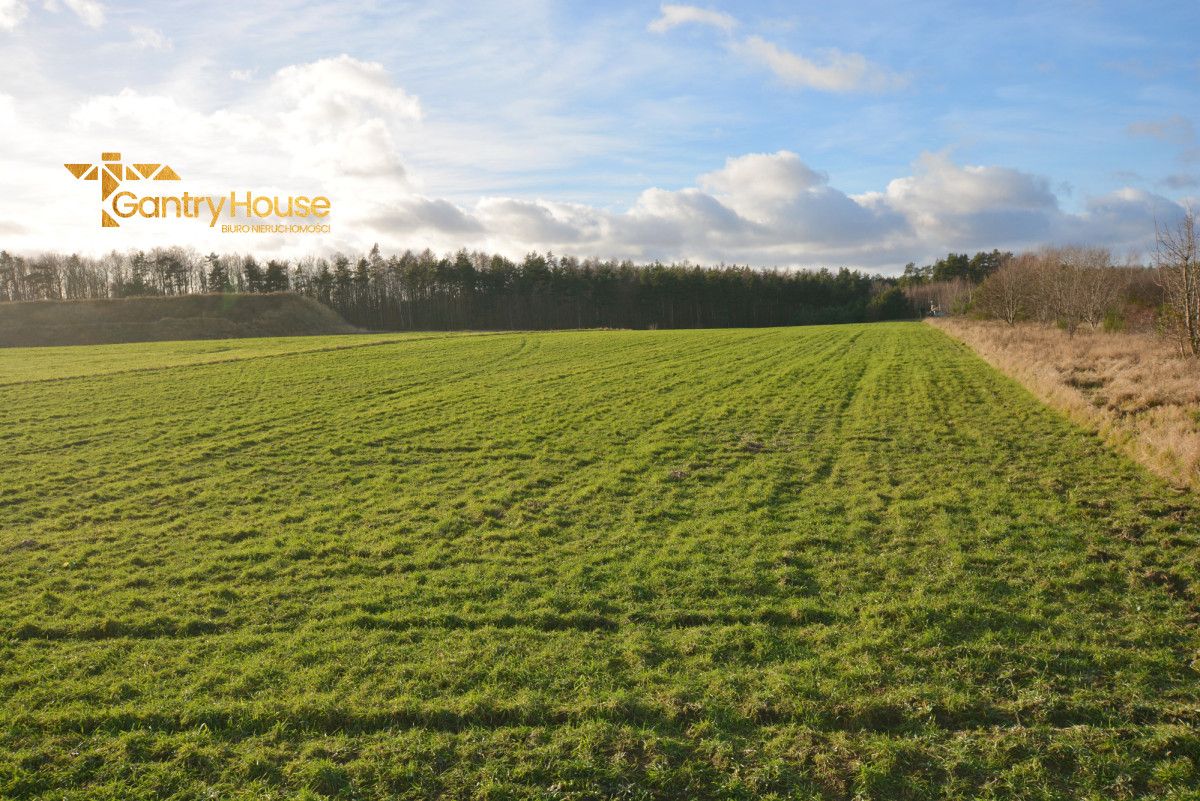 Działka inwestycyjna Dębogórze, ul. Chmielna. Zdjęcie 5